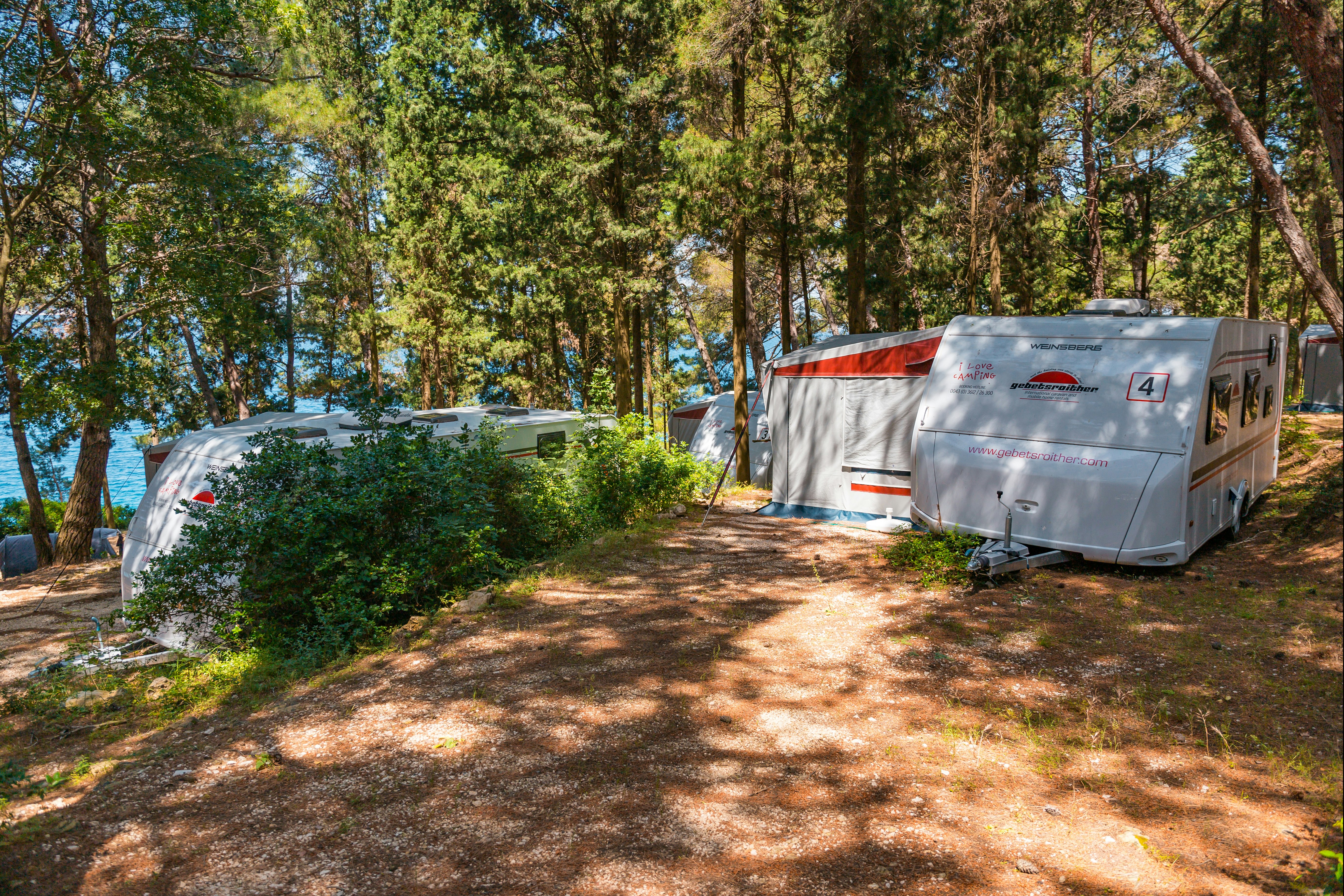 Camping Bijar - Stellplätze im Schatten der Bäume