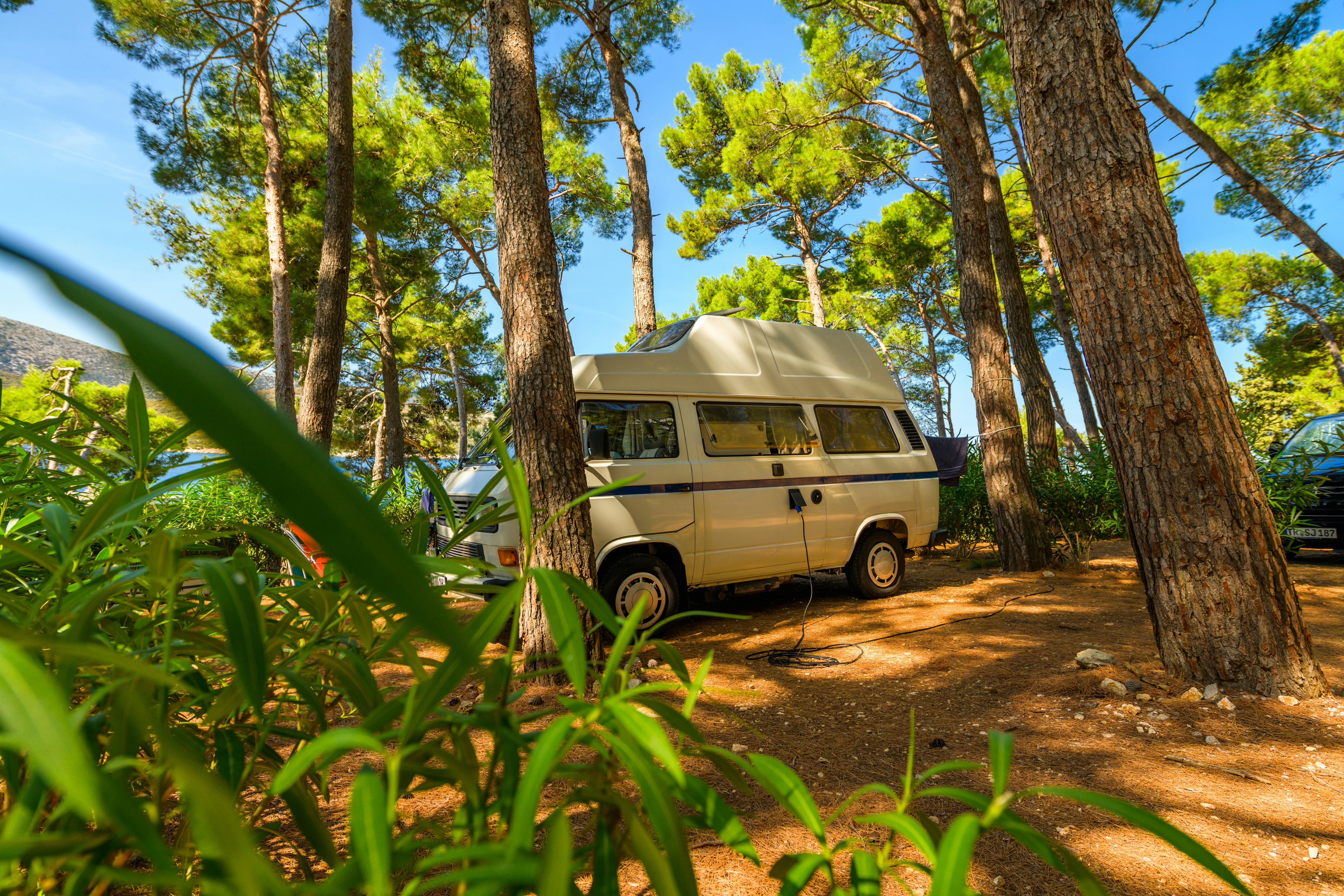 Camping Bijar - Stellplatz zwischen den Bäumen