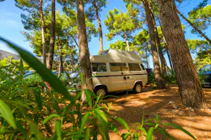 Camping Bijar - Stellplatz zwischen den Bäumen