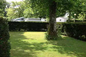 Grüner Rasen mit Hecken und einem Baum im Vordergrund, dahinter ein Wohnwagen und ein kleines Gebäude am Campingplatz.