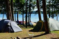 Camping Binduga (Nr. 69) -  Zeltplatz auf der Campingplatzanlage mit Blick auf das Jezioro Świętajno See