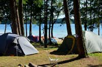 Camping Binduga (Nr. 69) -  Zeltplatz auf der Campingplatzanlage mit Blick auf das Jezioro Świętajno See