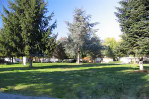 Grünes Campinggelände mit Rasen, hohen Nadelbäumen und Wohnwagen am Rand des Platzes.
