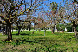 Campingplatz mit Obstbäumen im grünen Gras, Reihen von Bäumen und ein Weg zum Gebäude im Hintergrund.