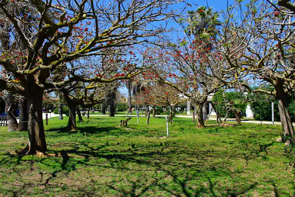 Camping Biscione