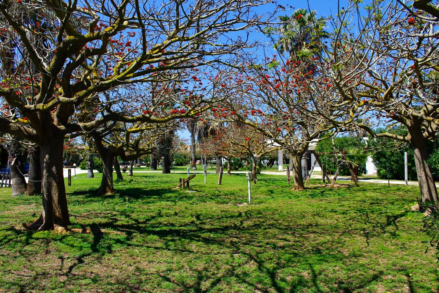 Camping Biscione