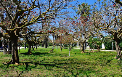 Camping Biscione