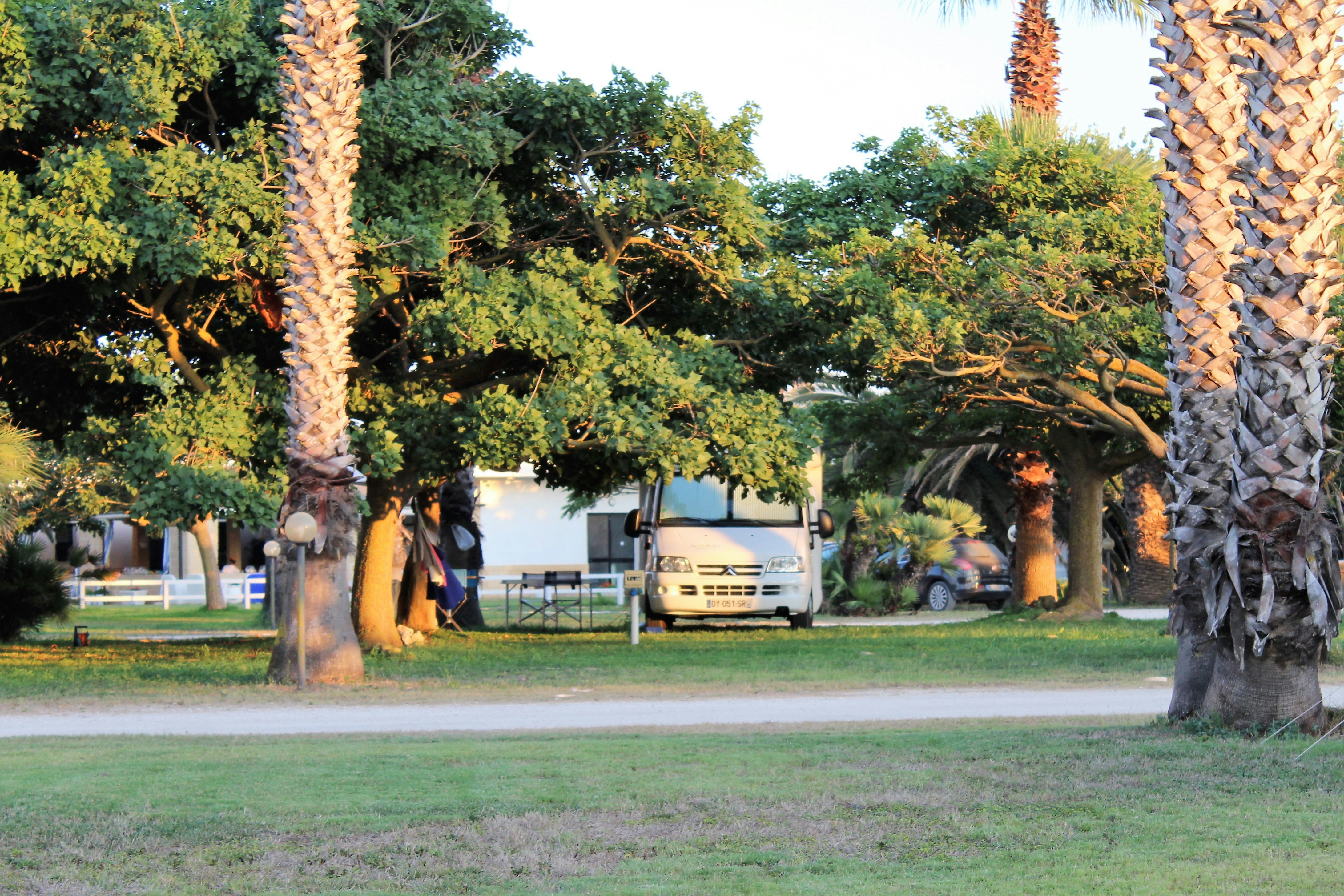 Wohnmobil auf einem Campingplatz-Stellplatz zwischen Bäumen, mit Rasenfläche und einem Zaun im Hintergrund.