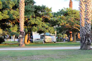 Wohnmobil auf einem Campingplatz-Stellplatz zwischen Bäumen, mit Rasenfläche und einem Zaun im Hintergrund.