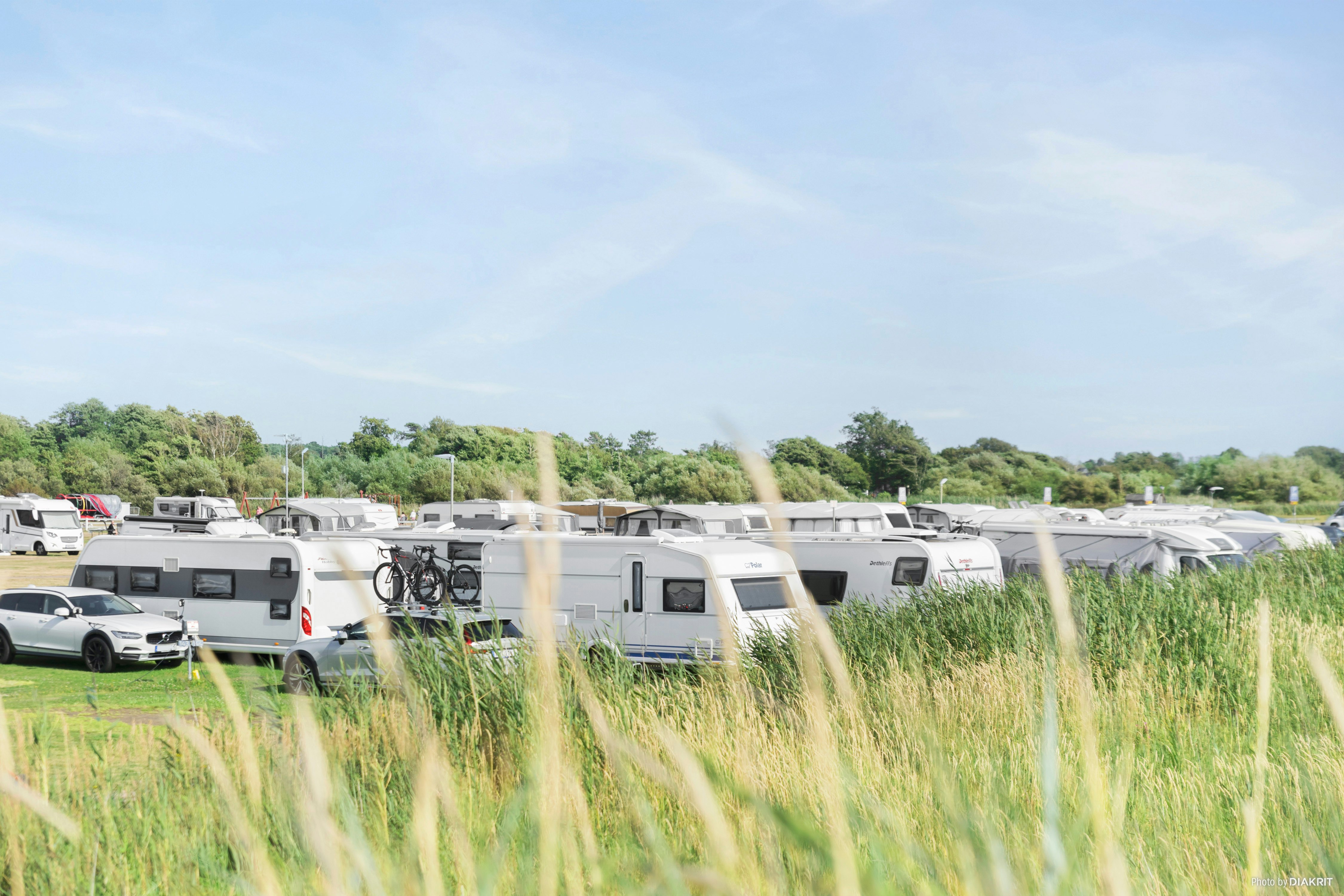 Reihe von Wohnmobilen und Caravans auf einem Campingplatz, im Vordergrund hohes Gras und Bäume am Rand.