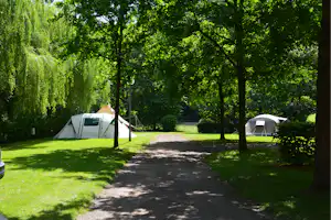 Camping Bleesbruck - Standplätze auf dem Campingplatz