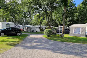 Camping Bøllingsø - Blick auf die Standplätze auf der Wiese