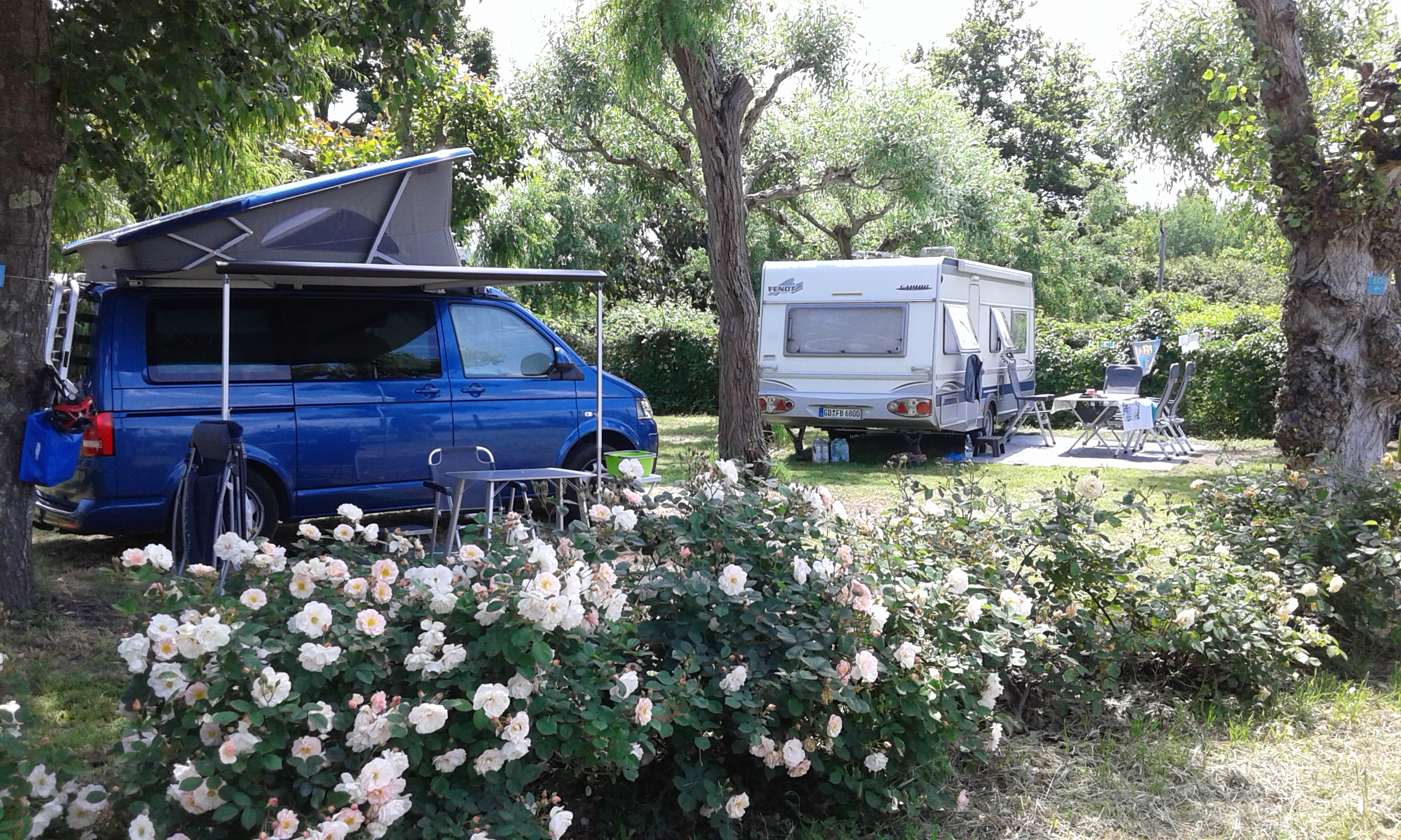 Blu International Camping