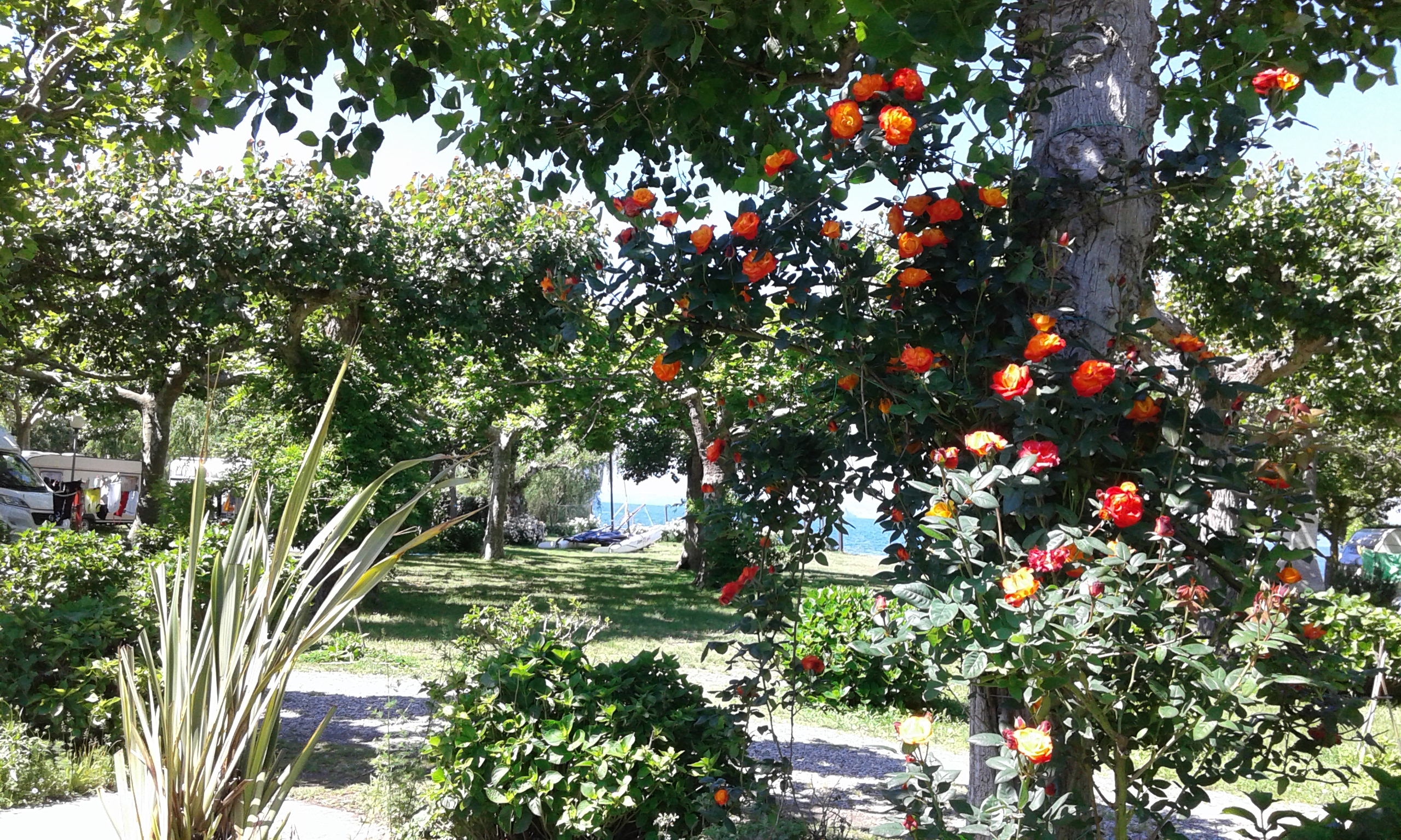 Blu Camping Holiday Garden