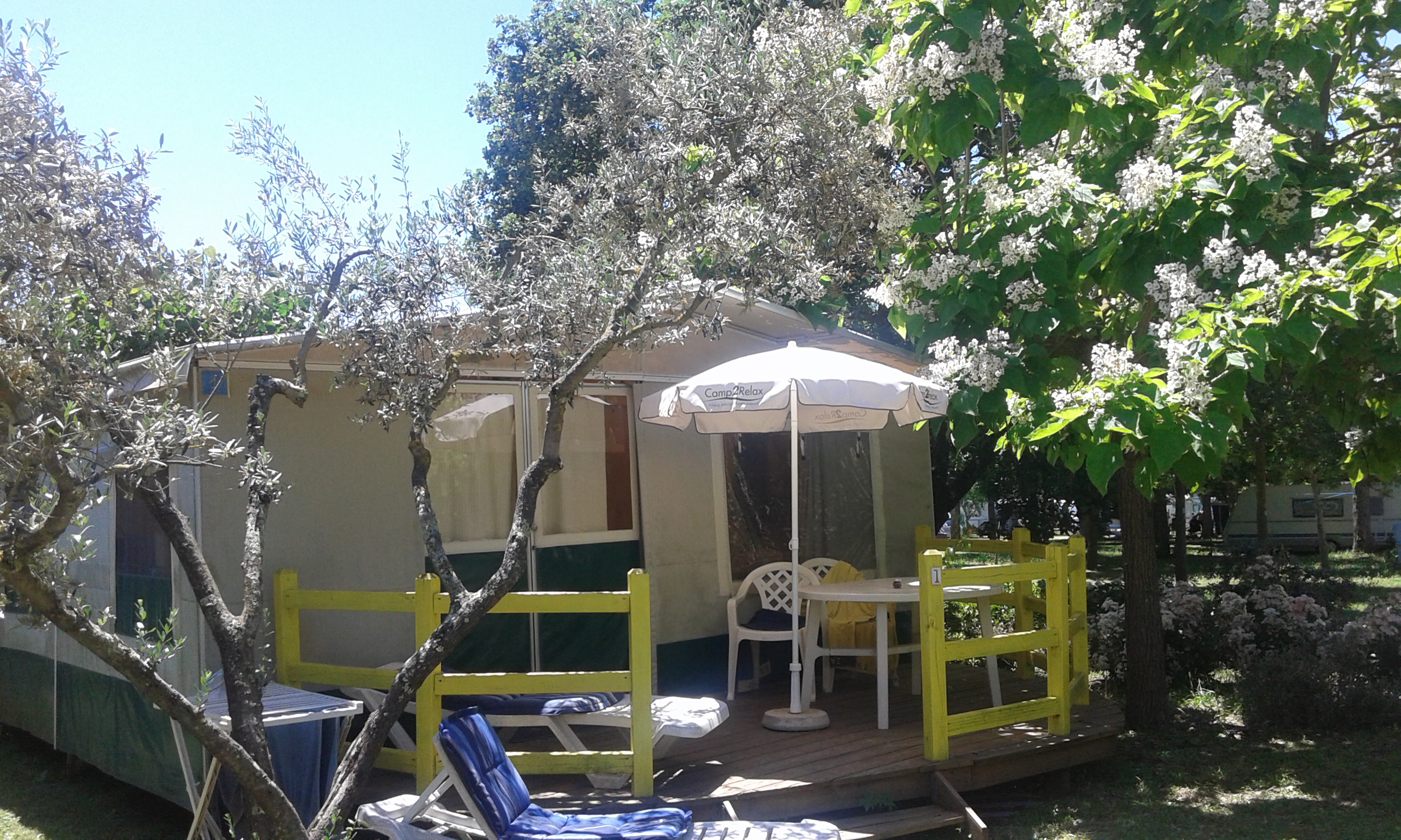 Blu International Camping