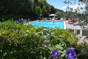 Camping Blucamp - Swimmingpool auf dem Campingplatz mit Sonnenliegen am Rand