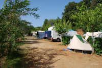 Camping Blucamp - Weg auf dem Campingplatz mit Stellplätzen an der Seite