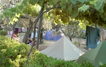 Camping Blucamp Natural Village