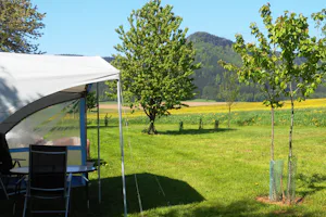 Camping Božanov - Blick vom Campingplatz auf bewaldete Hügel