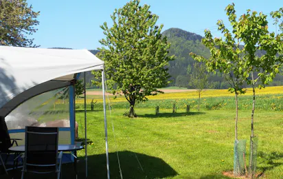 Camping Bozanov