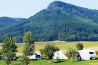 Camping Božanov - Wohnwagen- und Zeltstellplatz vom Campingplatz auf einem Wiesenstück mit Blick auf den Wald