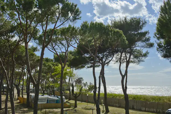 Camping Bocche d'Albegna