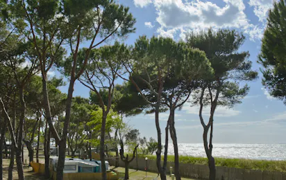Camping Bocche d'Albegna