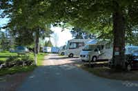 Camping Bois du Couvent - Strasse auf dem Campingplatz mit Wohnmobil auf Stellplätzen an der Seite