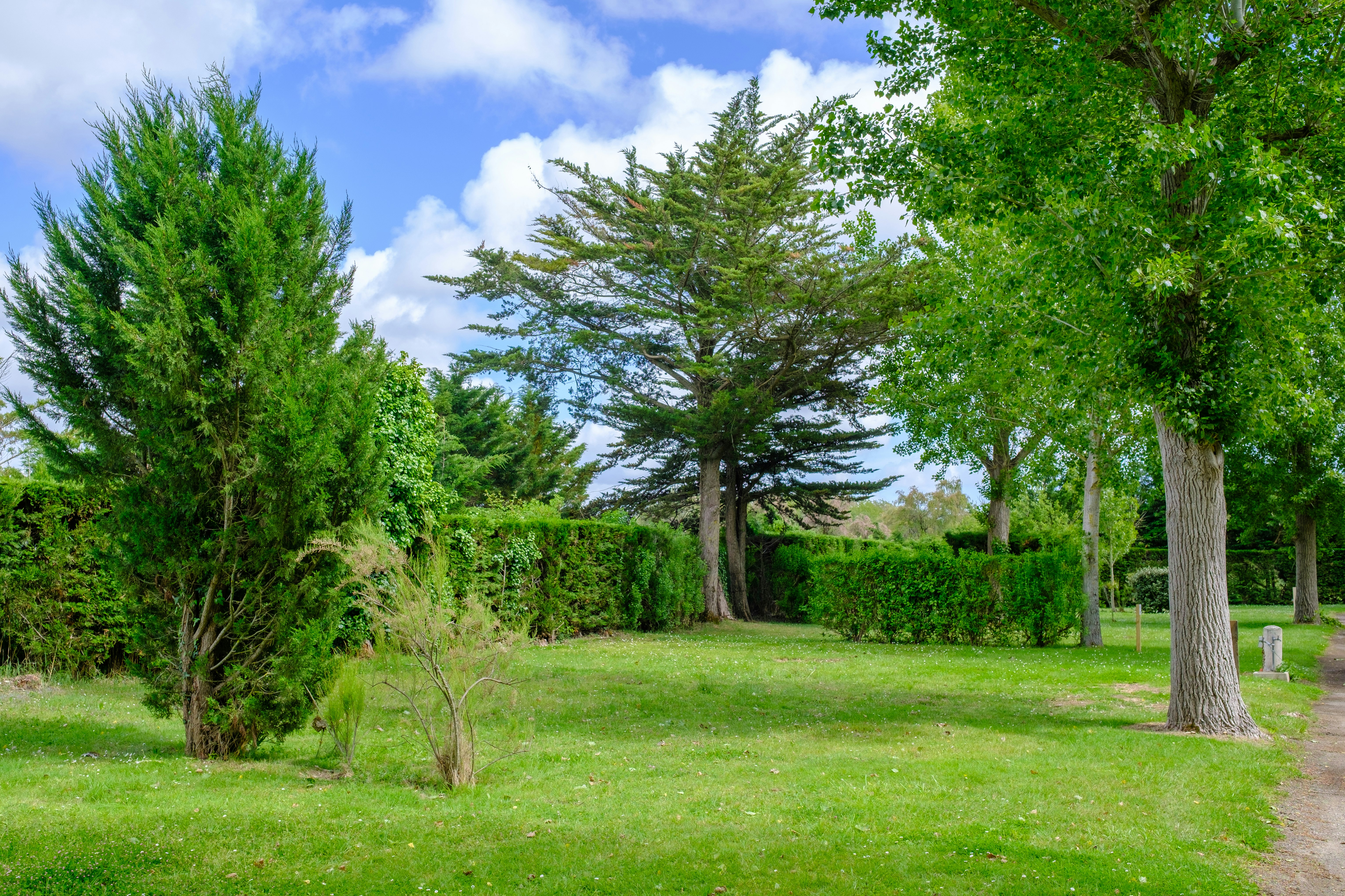 Camping Bois Soleil - Standplätze auf dem Campingplatz
