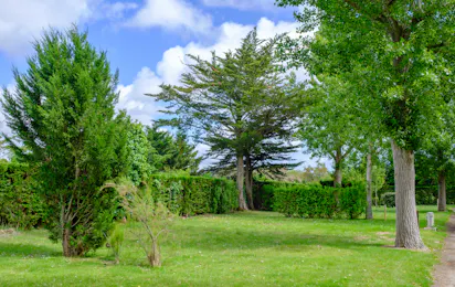Camping Bois Soleil (Olonne-sur-Mer)