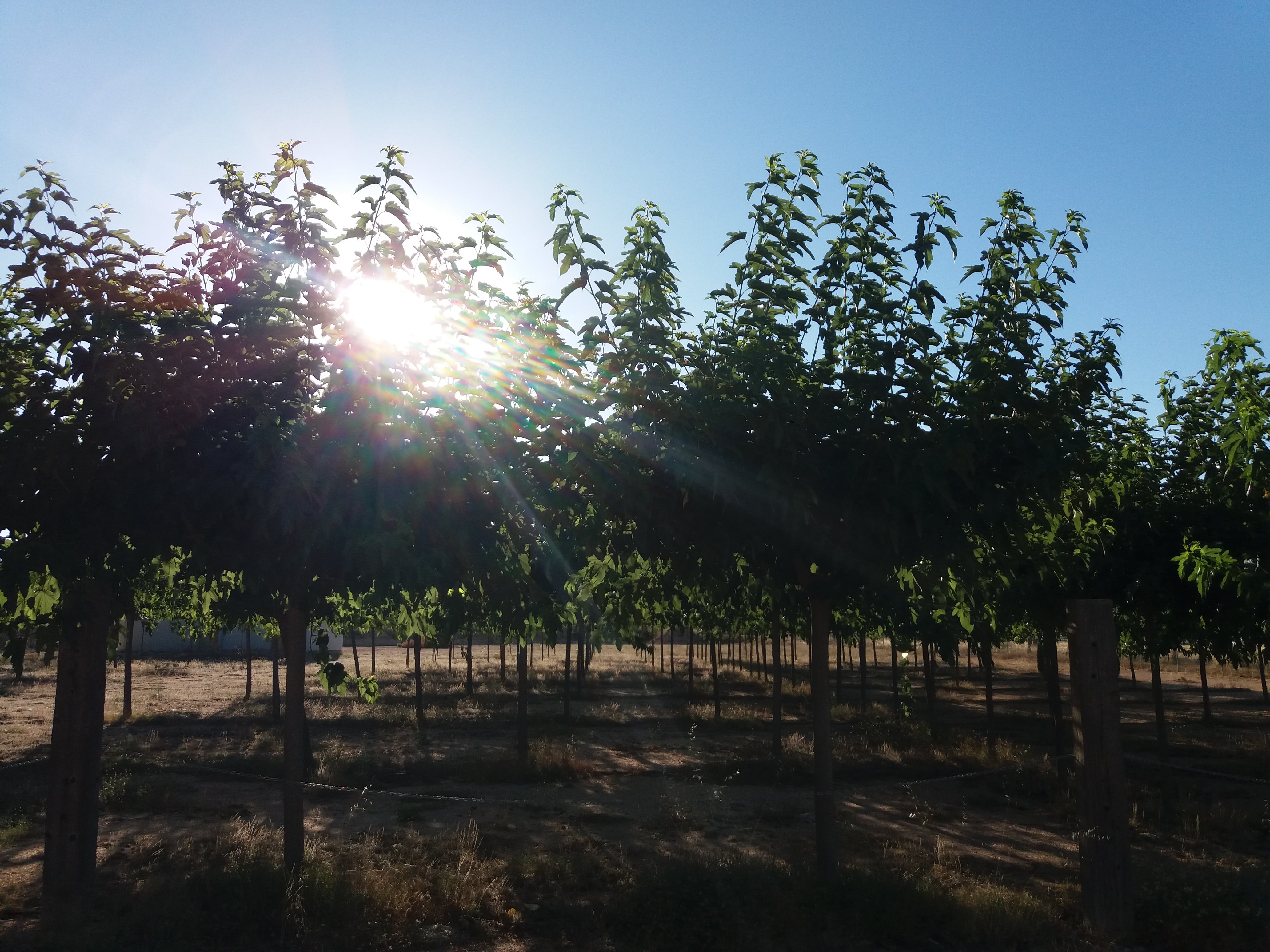 Nomading Camp Alicante