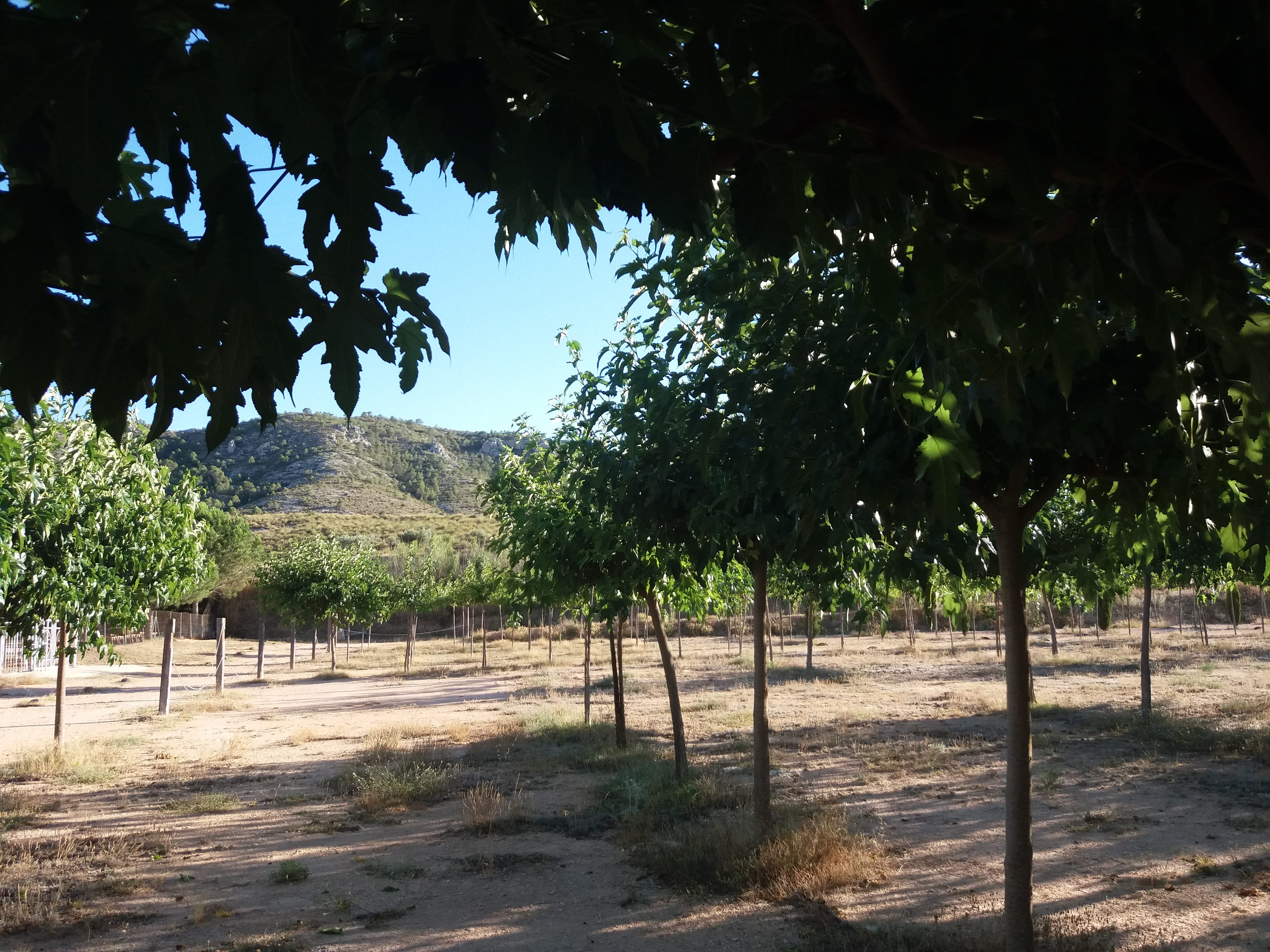 Nomading Camp Alicante