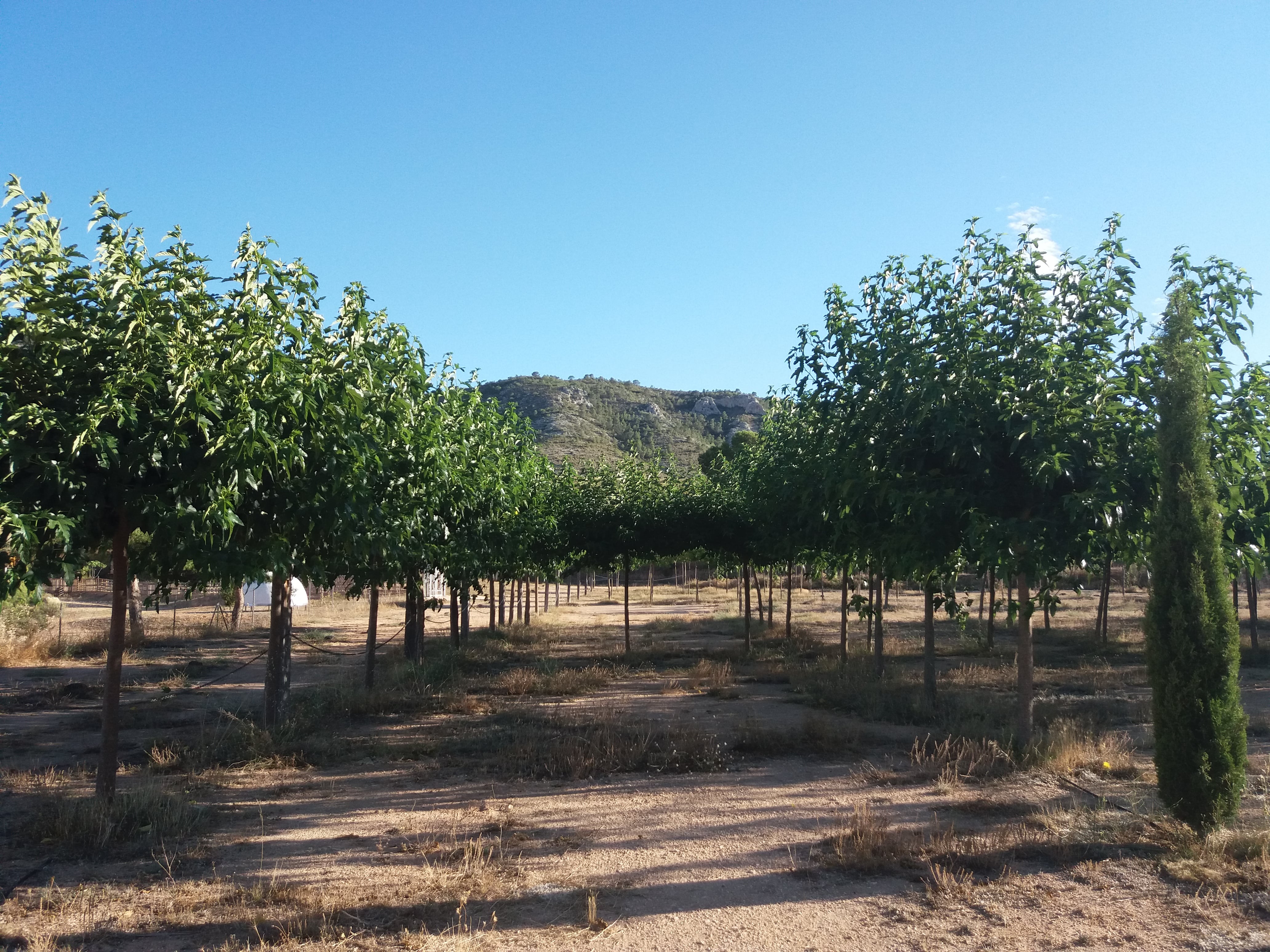 Nomading Camp Alicante