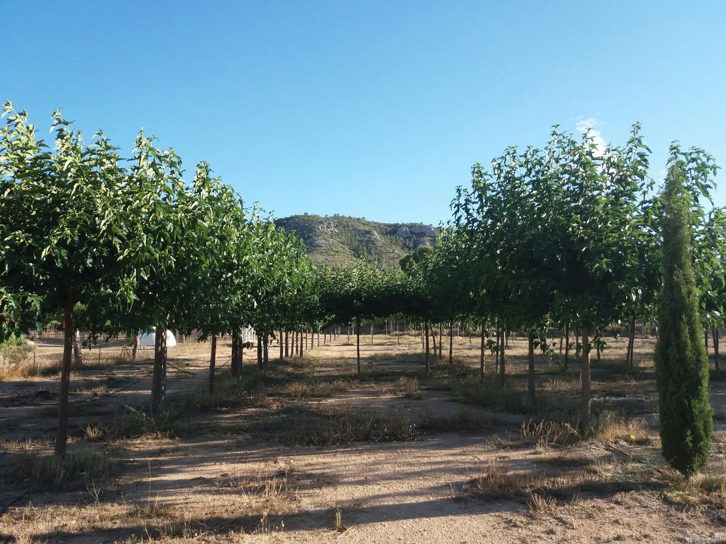 Nomading Camp Alicante