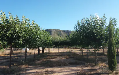 Nomading Camp Alicante