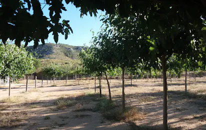 Nomading Camp Alicante