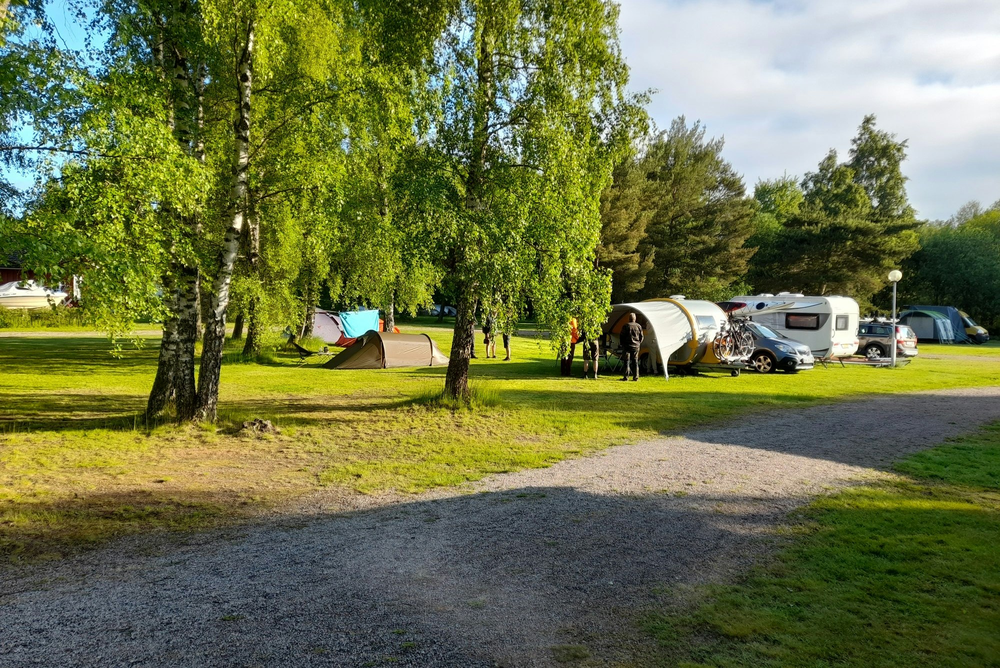 Camping Bolmen - Blick auf die Standplätze auf der Wiese