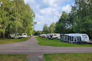 Camping Bolmen - Standplätze auf der Wiese auf dem Campingplatz