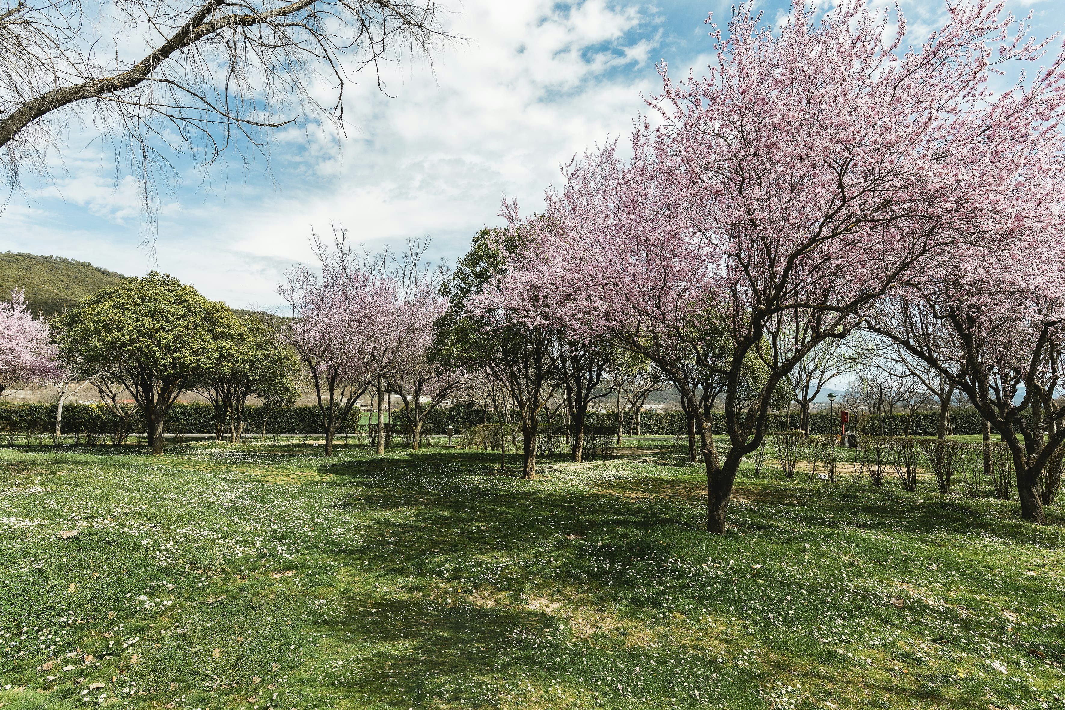 wecamp Pirineos  Camping Boltaña - Standplatzwiese auf dem Campingplatz