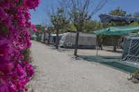 Camping Bon Sol - Campingweg mit Blumen und Stellplätze