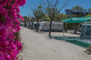 Camping Bon Sol - Campingweg mit Blumen und Stellplätze