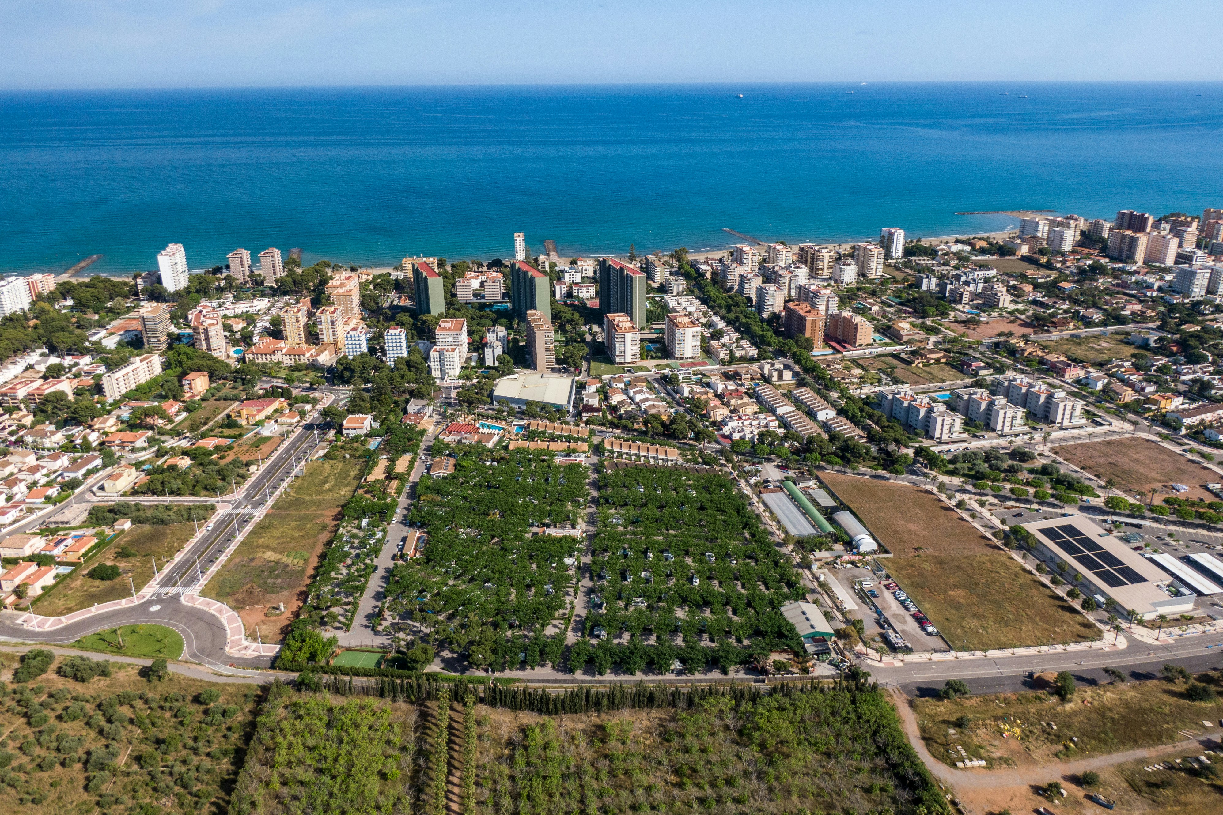Bonterra Resort