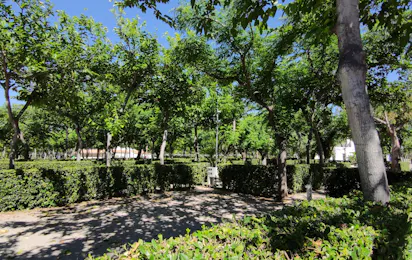 Bonterra Resort