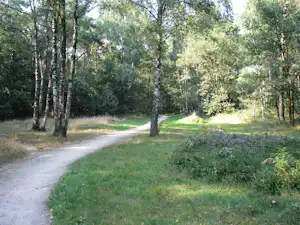 Waldweg durch einen Campingbereich mit Gras, Bäumen und einem schmalen Pfad zwischen den Lichtungen.