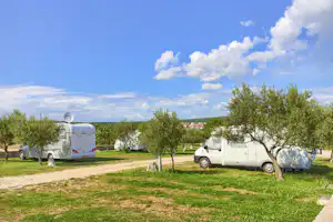 Camping Bor - Standplatzwiese auf dem Campingplatz
