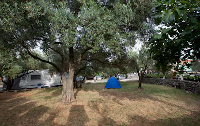 Camping Bor