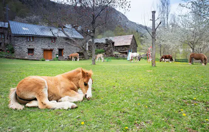 Camping Bordes de Graus