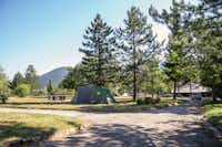 Camping Borje  -  Stellplatz vom Campingplatz auf grüner Wiese