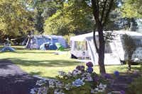 Camping Bosbad Zwinderen - Blick auf sonnigen Zeltplatz auf dem grünen Rasen auf dem Campingplatz
