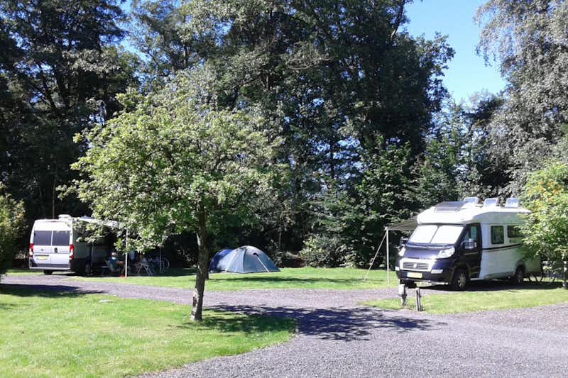 Camping Bosbad Zwinderen - Stellplatz für Wohnwagen und Zeltplatz zwischen den Bäumen auf dem Campingplatz
